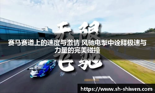 赛马赛道上的速度与激情 风驰电掣中诠释极速与力量的完美碰撞