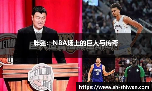胖鲨：NBA场上的巨人与传奇